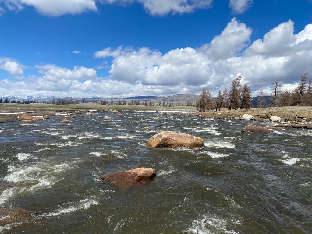 Natur Mongolei Altaigebirge