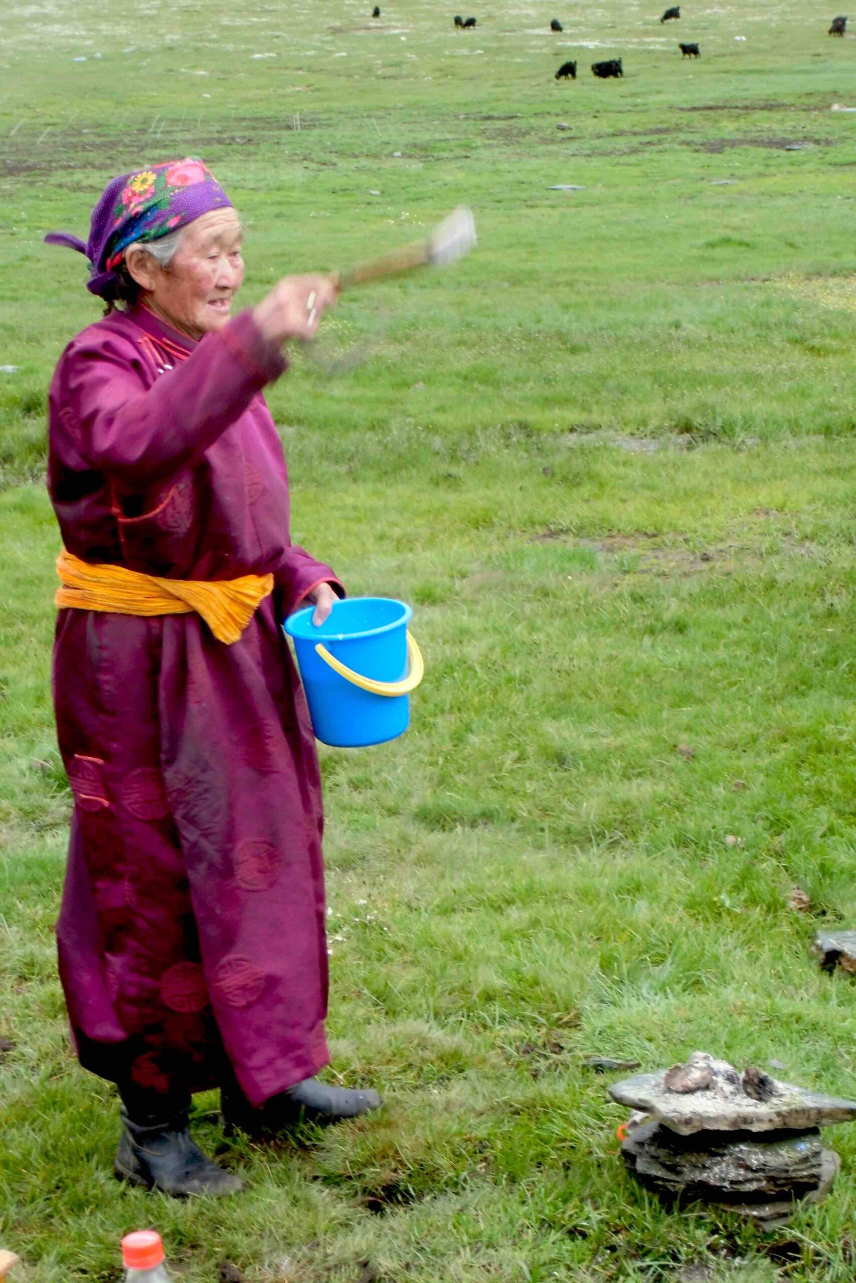 Am Morgen wird Milch versprüht